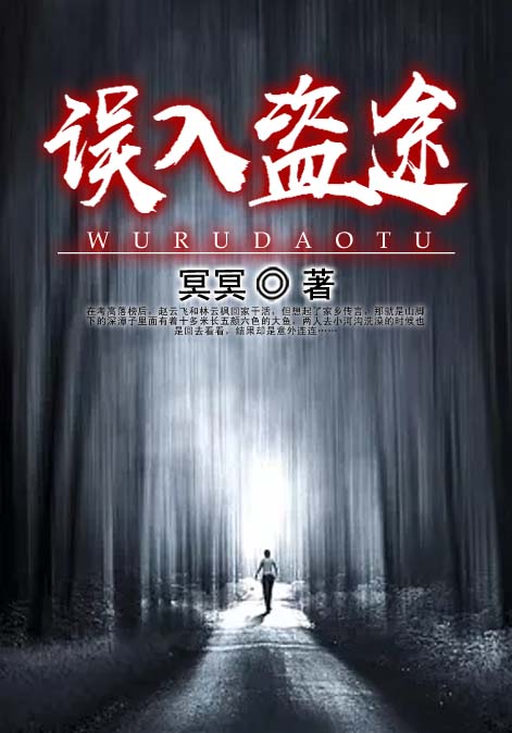 误入盗途