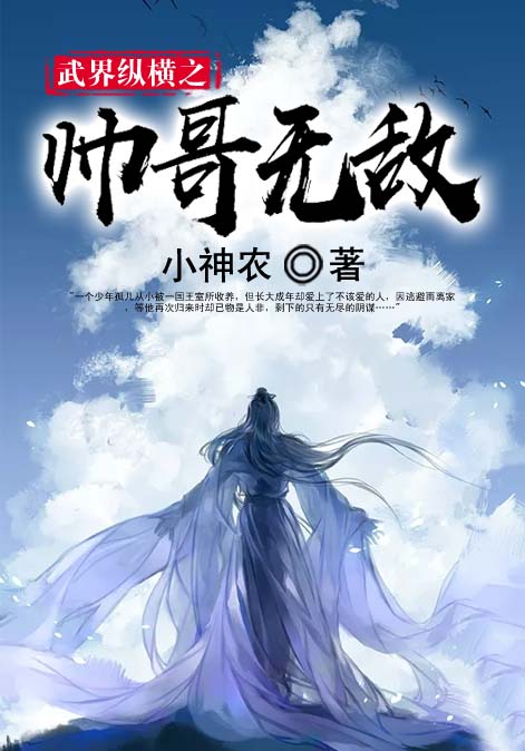 武界纵横之帅哥无敌