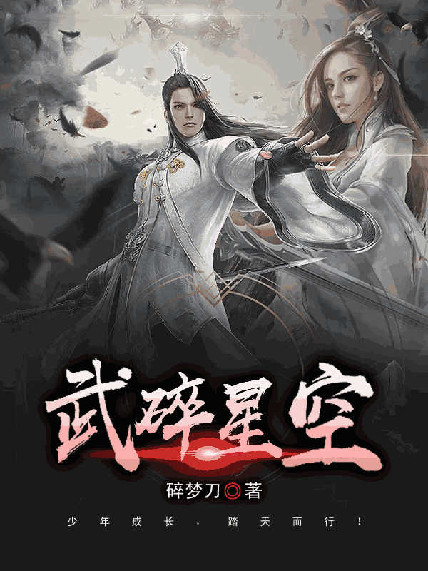 武碎星空